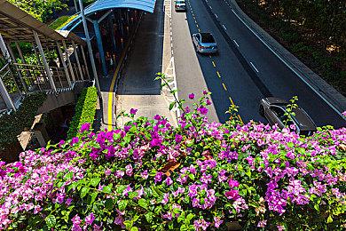 《暗黑4》硬核模式：PvP模式被杀 将是永久死亡